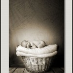 Baby photography glasgow baby_in_basket_swpp_gold_award